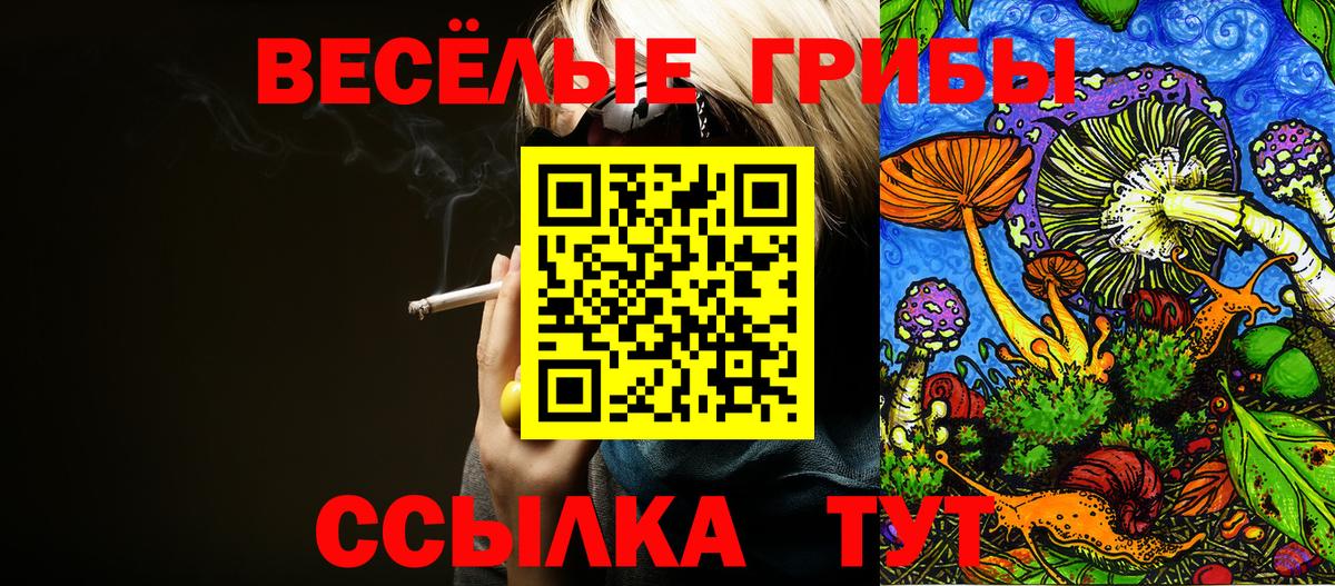 Псилоцибиновые грибы MAGIC MUSHROOMS  Вход с VPN  купить наркотик  Ржев  Галлюциногенные грибы ЛСД 